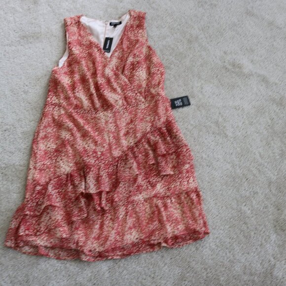 Express Dress - Picture 1 of 4
